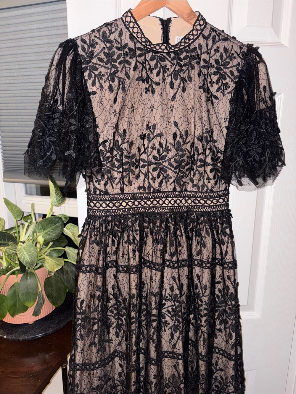 Ivy City Elegant Black Lace Overlay Midi Dress in Nude